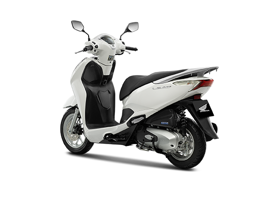 Honda Trắng - Tiêu Chuẩn