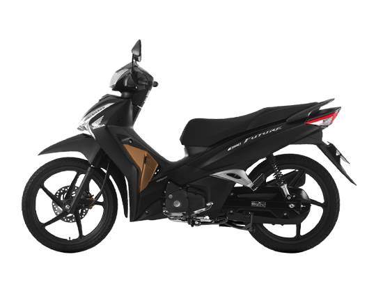 Honda Đen Vàng - Đặc Biệt