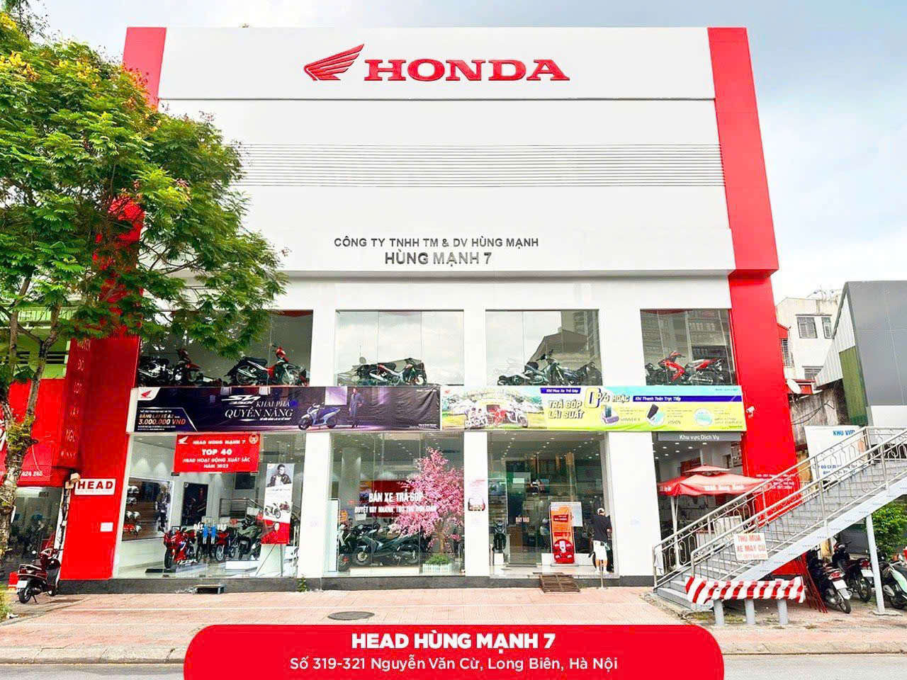 HEAD Hùng Mạnh 7
